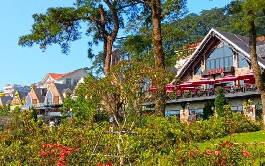 Tour Tam Đảo