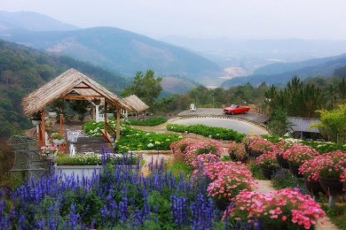 Du Lịch Nha Trang – Đà Lạt 5 Ngày 4 Đêm Từ Hà Nội (Bay Vietjet )