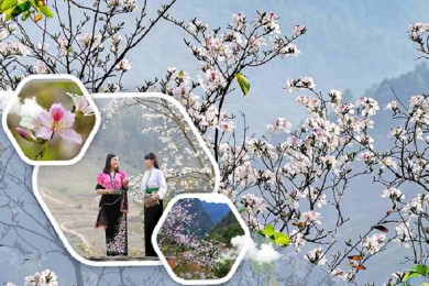 Du Lịch Điện Biên 3 Ngày 2 Đêm Mùa Hoa Ban Từ Hà Nội