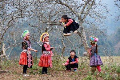 Du Lịch Mộc Châu 2 Ngày 1 Đêm Tết Nguyên Đán 