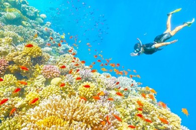 Du Lịch Phú Quốc 3 Ngày 2 Đêm
