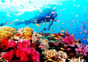 Tour Câu Cá - Lặn Ngắm San Hô Phú Quốc 1 Ngày