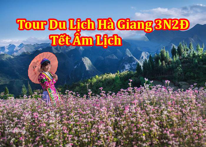 Tour Du Lịch Hà Giang 3 Ngày 2 Đêm Tết Âm Lịch 2024