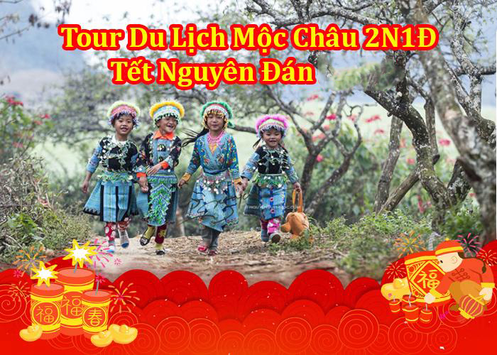 Du Lịch Mộc Châu 2 Ngày 1 Đêm Tết Nguyên Đán 2024