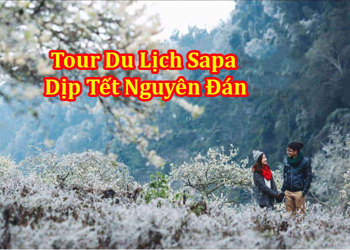 Tour Du Lịch Sapa 2 Ngày 1 Đêm Dịp Tết Nguyên Đán