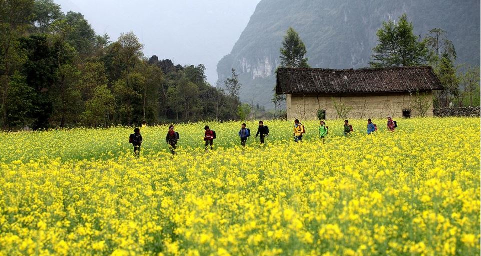 Tour Du Lịch Mộc Châu Mùa Hoa Cải 3 Ngày 2 Đêm