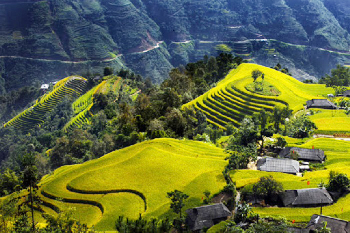 Du Lịch Hà Giang - Hoàng Su Phì -Xín Mần Bắc Hà 3 Ngày