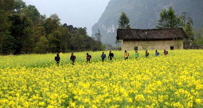 Tour Du Lịch Hà Giang Mùa Hoa Cải 3 Ngày 2 Đêm