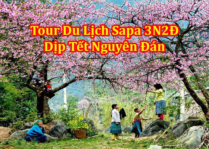 Du Lịch Sapa Đán 3 Ngày 2 Đêm Dịp Tết Nguyên