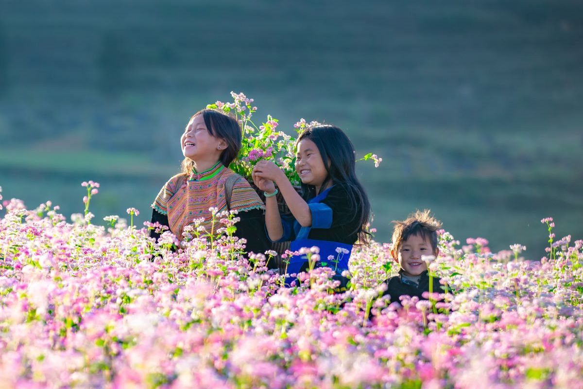 Du Lịch Hà Giang Mùa Tam Giác Mạch 3 Ngày 2 Đêm Từ Hà Nội