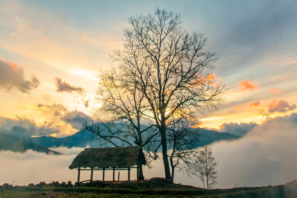 Tour Du Lịch Y Tý 2 Ngày 1 Đêm