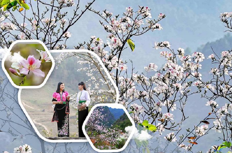 Du Lịch Điện Biên 3 Ngày 2 Đêm Mùa Hoa Ban Từ Hà Nội