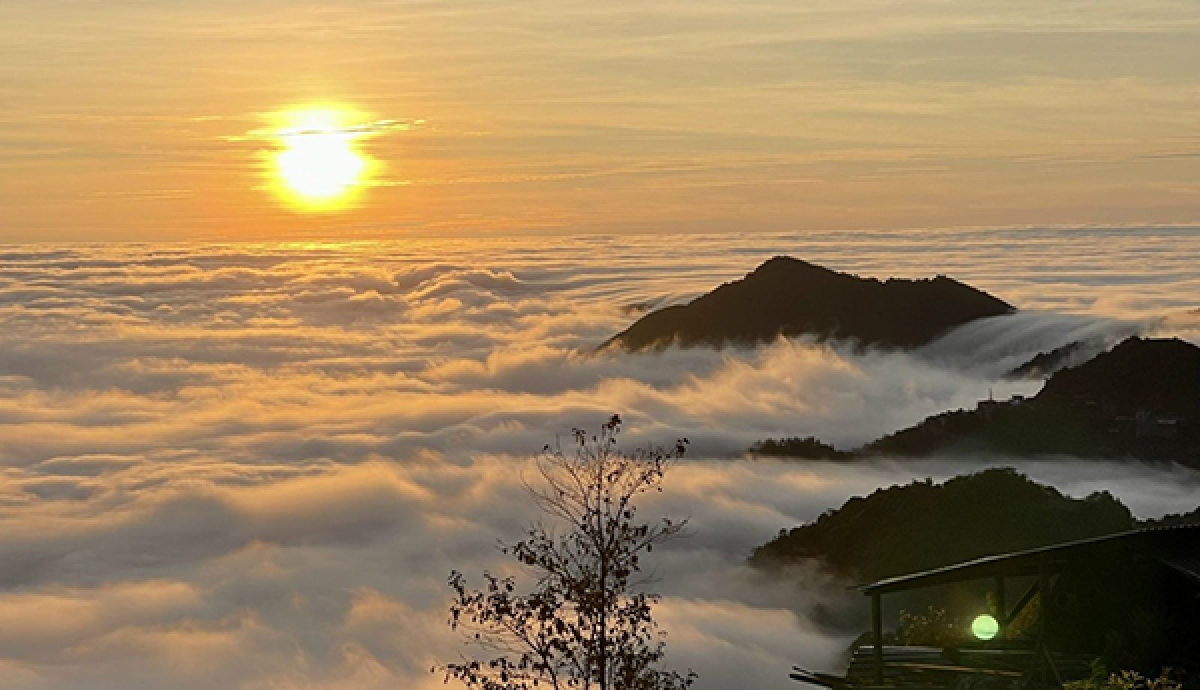 Tour Săn Mây Trên Đỉnh Tà Xùa 2 Ngày 1 Đêm 