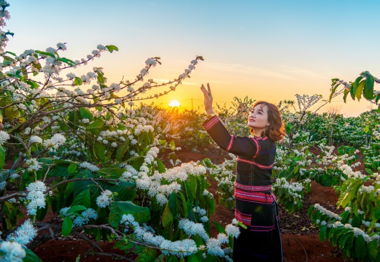 Tour Du Lịch Tây Nguyên 5 Ngày 4 Đêm Mùa Hoa Cà Phê (Bay Bamboo)