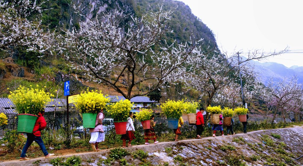Tour Du Lịch Hà Giang 3 Ngày 2 Đêm Tết Dương Lịch 